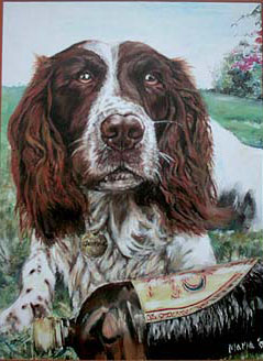 commissioned oil painting of springer spaniel