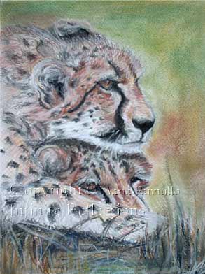 pastel image of leopards lazing