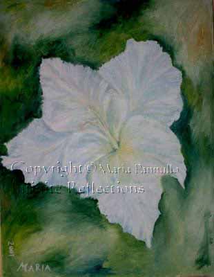 oil painting of white gladioli flower