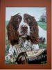 click on image to enter pet portrait gallery