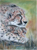 pastel image 'Leopards resting'